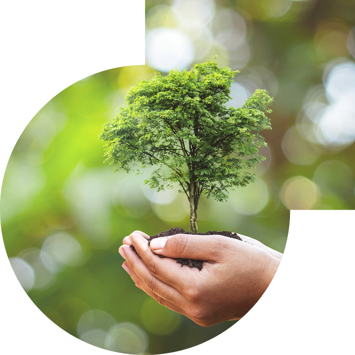 關懷人類、文化、環境與社會